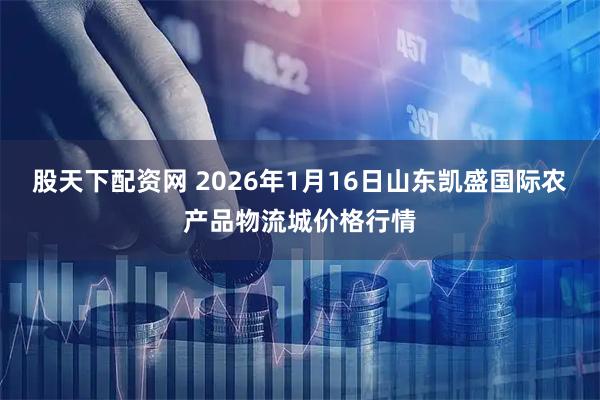 股天下配资网 2026年1月16日山东凯盛国际农产品物流城价格行情
