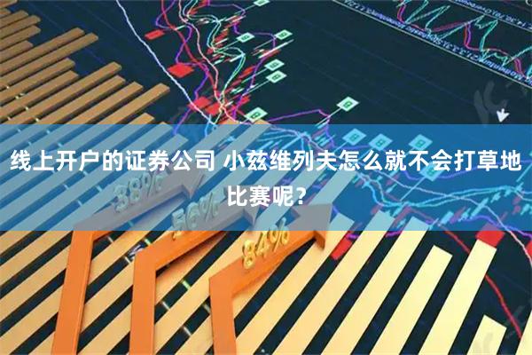 线上开户的证券公司 小兹维列夫怎么就不会打草地比赛呢？